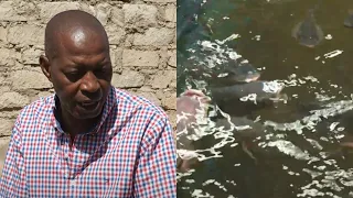 Power blackout cost me Ksh1.5 million worth of fish in a night but I turned around my business