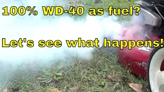 Will a Gas Engine Run on WD-40?  Let's find out!