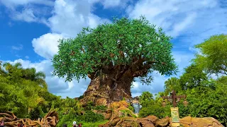 Disney's Animal Kingdom Fast Walkthrough Tour, Orlando, Florida |  September 2022