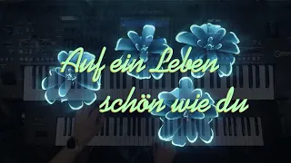 Auf ein Leben schön wie du (Andy Borg) - Cover Schlagerburschi