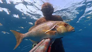 Spearfishing Croatia - Summer 2022