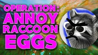 Operation: ANNOY RACCOONEGGS