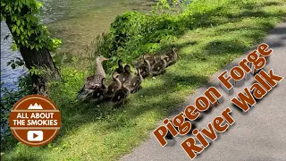 Pigeon Forge River Walk - by the Island