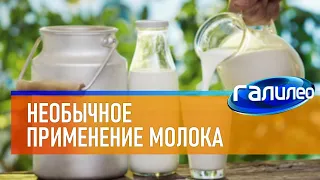 Галилео 🥛 Необычное применение молока