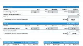 Viena sąskaita - Popierinės sąskaitos pildymas
