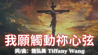 【我願觸動祢心弦 Lord, I Want To Touch Your Heart】官方歌詞版MV (Official Lyrics MV) - 讚美之泉敬拜讚美