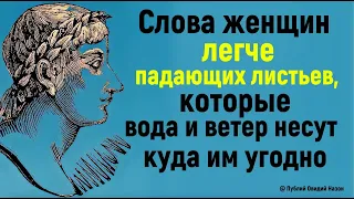 Цитаты, меняющие взгляд на жизнь. Афоризмы