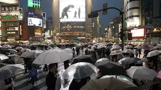 4K・ 【4K】Rainy night at Tokyo Shibuya