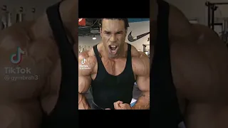 Kevin Levrone Prime