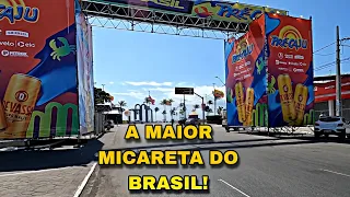 PRÉ CAJU 2023: CONHEÇAM A estrutura e o percurso da festa!