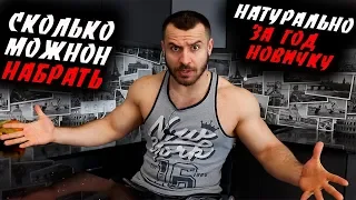 Сколько Можно Набрать Мышц За Год НОВИЧКУ НАТУРАЛЬНО ?!