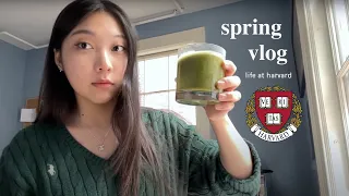 a few days at harvard | grwm, productivity, baking, spring! ☆.｡.:*