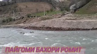 Пайгоми бахори Ромит