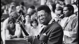 B.B King & Bobby ''Blue'' Bland   ~  Tribute Live 1976 Part 3