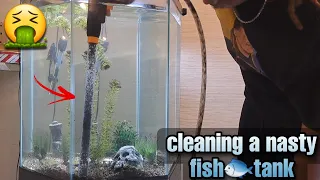 How To Clean Your Fishtank With A Hygger Aquarium Gravel Cleaner