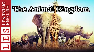 Learn English Through Story ★ Subtitle: The Animal Kingdom ( Level 2 )