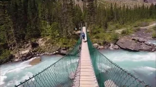 Berg Lake Trail. BC