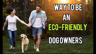 8 Ways To Be An Eco-Friendly Dog owner | Eco-friendly dog owner