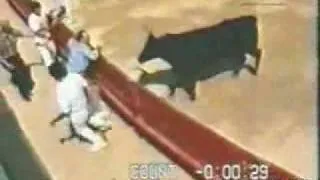 Man Gored by a Bull in the Butt