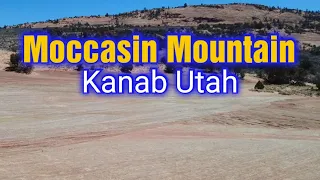 Moccasin Mountain, A hidden Gem of Kanab Utah ○|||||||○