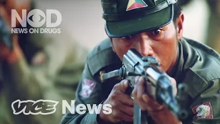 The Drugs Fuelling Deadly Wars | News on Drugs