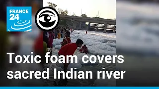 India: The Yamuna, a sacred river, in a state of 'ecological death' • The Observers - France 24