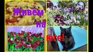 Ейск/ Решили купить ПОСУДОМОЙКУ/Жизнь на юге, у МОРЯ!