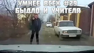 УМНЕЕ ВСЕХ #29. БЫДЛО И УЧИТЕЛЯ НА ДОРОГЕ