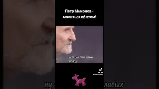 Петр Мамонов - молиться об этом! #петрмамонов #мамонов #пётр #аборт