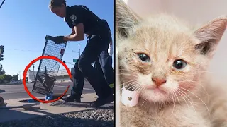 Firefighter Adopts 6-Week-Old Kitten Rescued From Drain