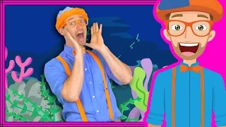 Ocean Animal Song by Blippi | Nursery Rhyme Songs for Children