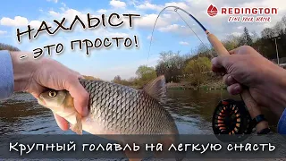 НАХЛЫСТ - это просто! Ловля белой рыбы на мушку. Голавль на малой реке. Как ловить нахлыстом