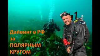 Поездка на дайвинг в Баренцевом море. Лиинахамари. Полуостров Немецкий. Август 2020.