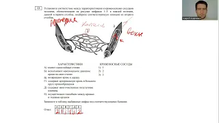 Биология ЕГЭ. Разбор открытого варианта ФИПИ 2022