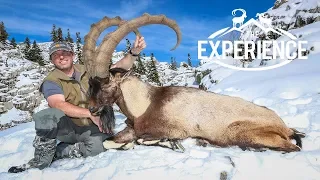 TURKEY BEZOAR IBEX - The Experience Vault Film 2016