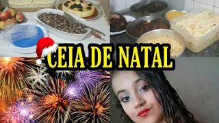 VLOG MINHA CEIA DE NATAL COM A MINHA FAMÍLIA (CASAL EXCELENTE)