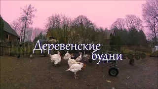 Деревенские будни. Индюшатник и потолок хлева.