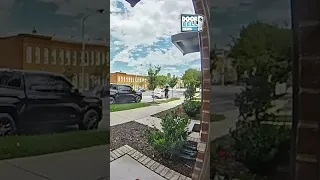 Instant Karma (Caught on Ring Doorbell)