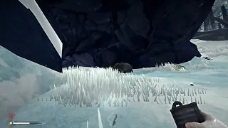 THE LONG DARK: Correct bear wake up