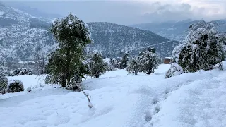 Surprise snowfall in patnitop hills. (Feel the nature with me.)