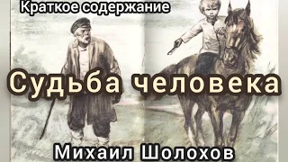 Краткое содержание Судьба человека. Шолохов М. А. Пересказ рассказа за 10 минут // Хамид Гаджиагаев