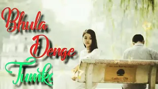 Bhula Denge Tumko Sanam | Akshay Kumar Movie Sad Song 💔💔😭😭