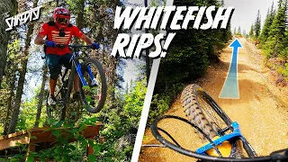 Trails That Absolutely Rip! // Cancelled Race = MTB Trip! // Whitefish Bike Park, Montana