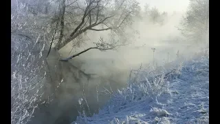 г. ГУБКИН ЗИМА❄️ХОЛОДА СУГРОБАМИ ТИХО СПЯТ❄️КАК И ВСЕ КОГО НЕ ВОРОТИШЬ НАЗАД❄️