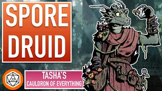 Is Circle of Spores Druid a Good Subclass? | Tashas Cauldron of Everything | Subclass Tier List