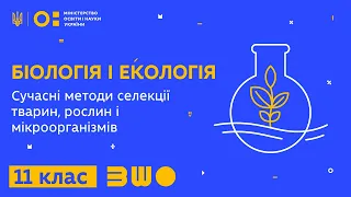 11 клас. Біологія і екологія. Сучасні методи селекції тварин, рослин і мікроорганізмів