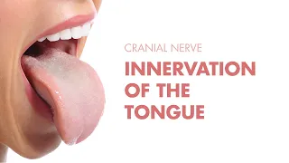 Innervation of the Tongue - Cranial Nerves - MEDZCOOL