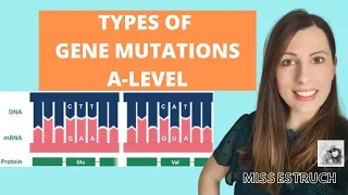 Type of GENE MUTATIONS: A-level Biology. Do you know the 6 types of gene mutations?