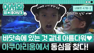 바다가 없는 네팔 가족들에겐 난생처음인 바다 생물들! 동심의 세계로 안내해 준 아쿠아리움🦈 l #어서와몰아보기​ l #어서와한국은처음이지​ l EP.47-2