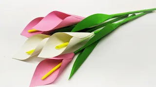 ЦВЕТЫ ИЗ БУМАГИ. КАЛЛЫ ЛИЛИИ. ORIGAMI flowers